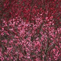 IMG_6181_640