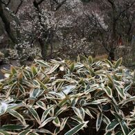 IMG_7352_640