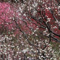 IMG_7363_640
