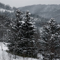 冬の北海道２