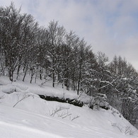 冬の北海道３