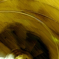 Sagrada Familia 