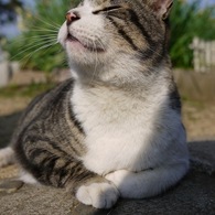 春の陽気