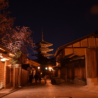 桜と塔