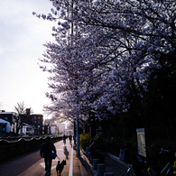 池上サンセット