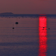 春の播磨灘に沈む夕日２