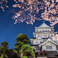 城と桜と星と。