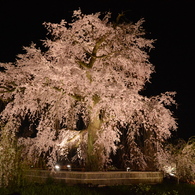 存在感
