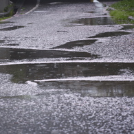 水たまりも花模様