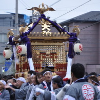 藤若　神輿が来たぞ！②