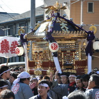 藤若　神輿が来たぞ！
