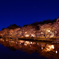 五百淵公園夜桜