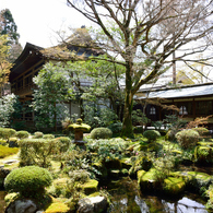 三千院門跡　有清園