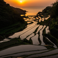 浜野浦2015.04.21_1838