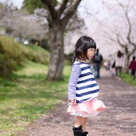 桜の木の下で