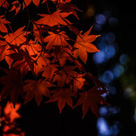 函館　見晴公園
