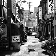 Nostalgic Nagoya #16