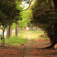 稲荷神社