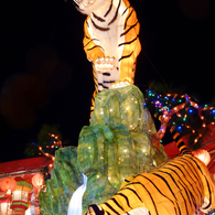 Year of Tiger