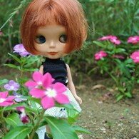 flower　garden②