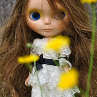 dandelion②