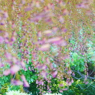 DSC02236