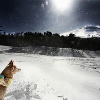 The portrait in snow #2