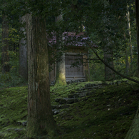 樹々の中に（平泉寺03）