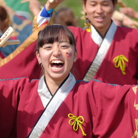 みやこ姫よさこい祭り⑭