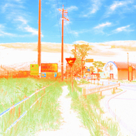 夕陽をうける道