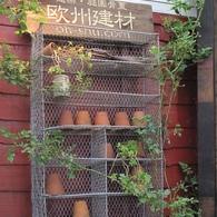 国バラ写真集「棚コレ」