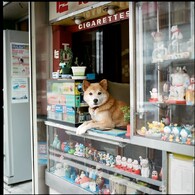 「またおまえか」