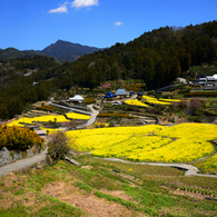 20150328-神山-江田-02