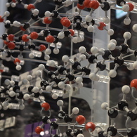 Molecule