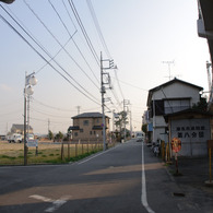 多摩川(2010-2-22)-4