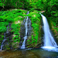 Healing place...