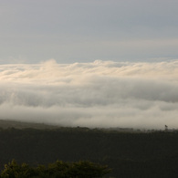 雲