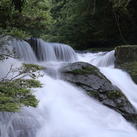 清流 “菊池渓谷” 22