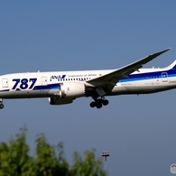 ANA 787-8 着陸　