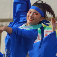 堺よさこいかえる祭り⑧河内連さん