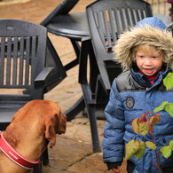 BOY meets DOG