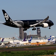 Air New Zealand「All Blacks」787-9 ZK-NZE