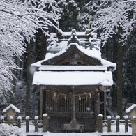 凍える神様