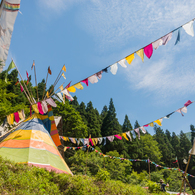 FUJI ROCK FESTIVAL`15 (4)