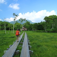 夏の思い出