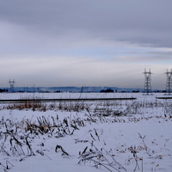 雪原