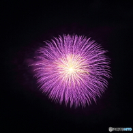 三原花火大会 (8) 15.08.09