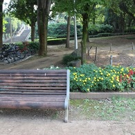 IMG_0006
