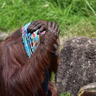 (2)こんなふうに