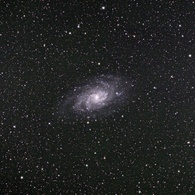M33
